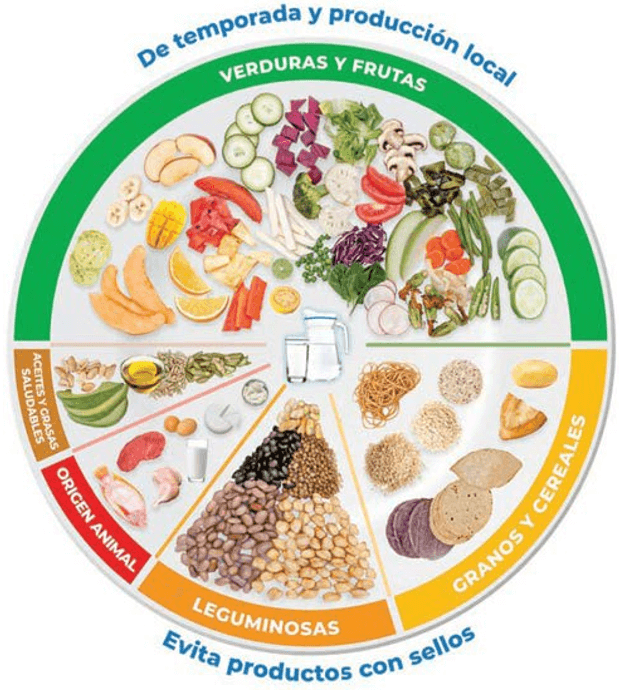 Guías Alimentarias 2023 para la población mexicana