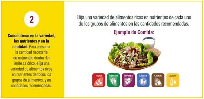 Pautas alimentarias para estadounidenses 2015-2020 - Octava edición