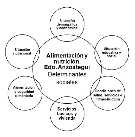 Figura 1. Determinantes sociales seleccionados Elaboración propia