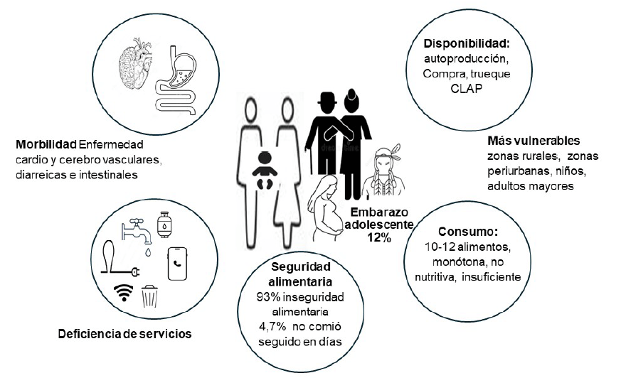 Figura 5. Resumen de la situación de salud, servicios y seguridad alimentaria en Anzoátegui Elaboración propia (5, 14, 19, 31, 33)